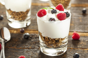yogurt nonfat most logged PowerFuels in Numi protein
