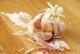 #HealthyHowTo Video: Peeling Garlic Made Simple