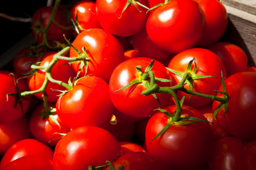 tomatoes hydrating foods