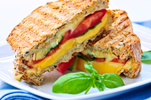 grilled cheese sandwich recipes