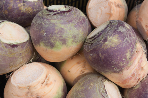 Turnip root vegetables