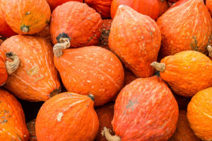 hubbard squash
