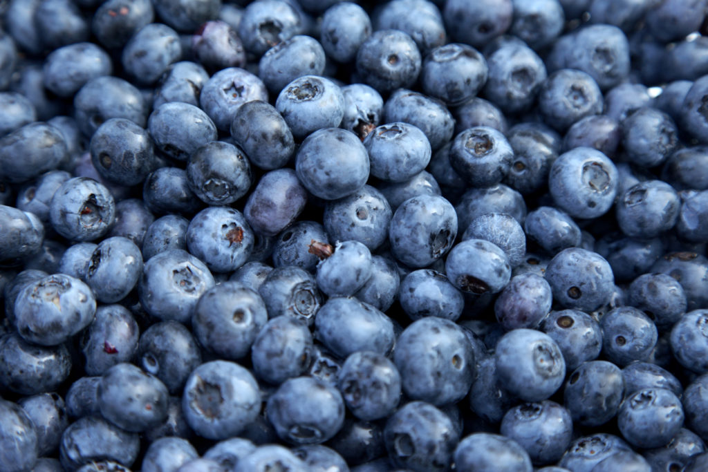 blueberries smartcarbs list of carbohydrates