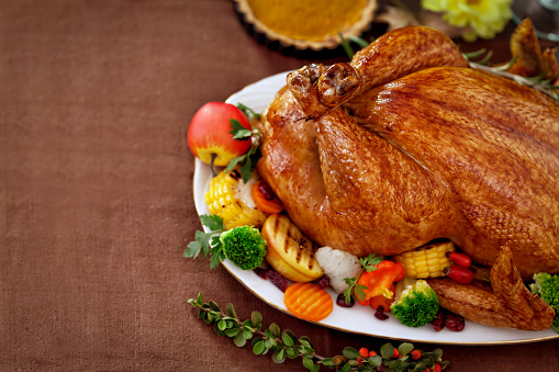 holiday turkey with vegetables