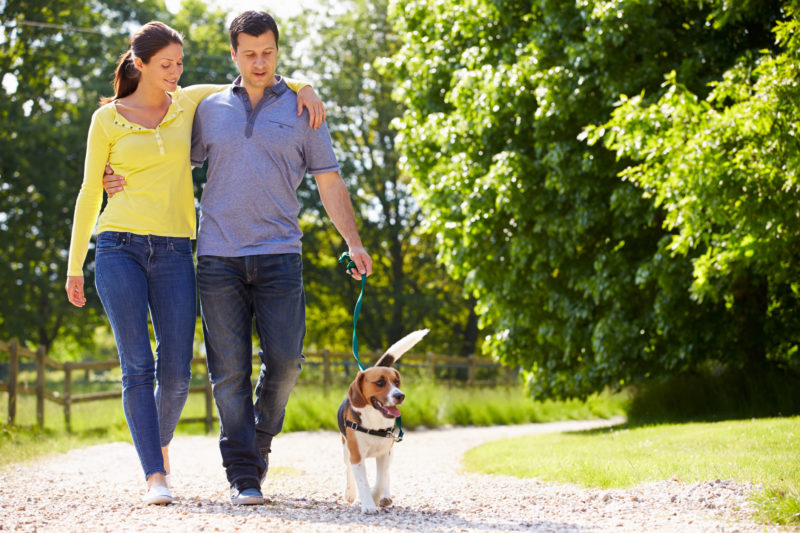 10 Reasons to Start Walking Today The Leaf Nutrisystem