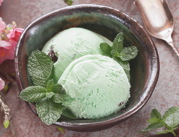 mint chocolate chip ice cream