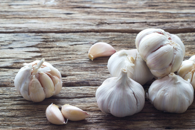 Growing Garlic: Everything You Need To Know