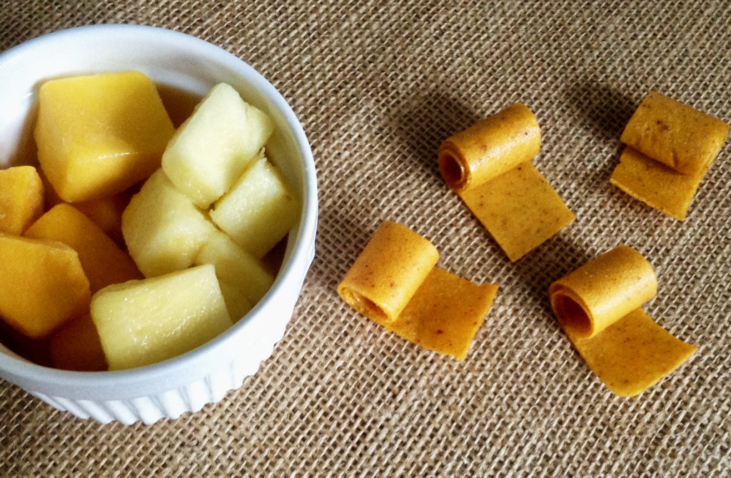 Fruit Leather: Tropical Chili | The Leaf