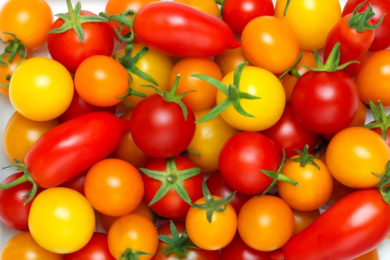 Different color tomatoes 