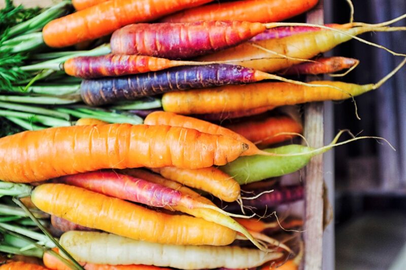 Rainbow Carrots are one of the best healthy fall vegetables