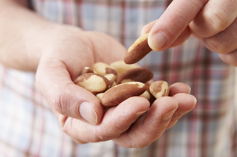 Close Up Of Man Eating Healthy Brazil Nuts
