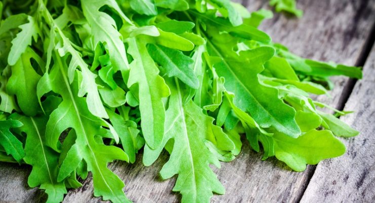 fresh arugula has many health benefits