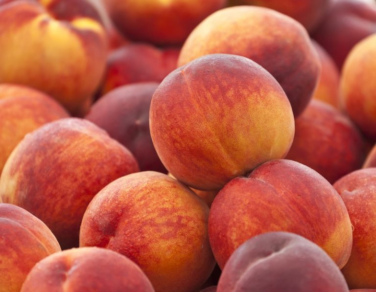 Are Peaches Good for Weight Loss? The Leaf