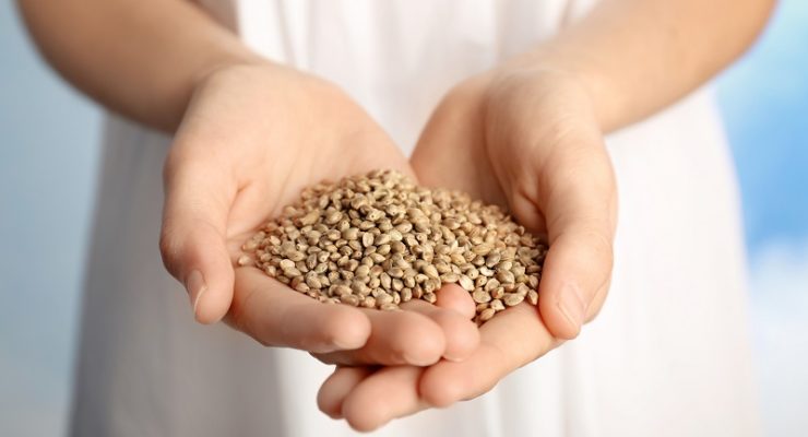 seeds you need to be eating