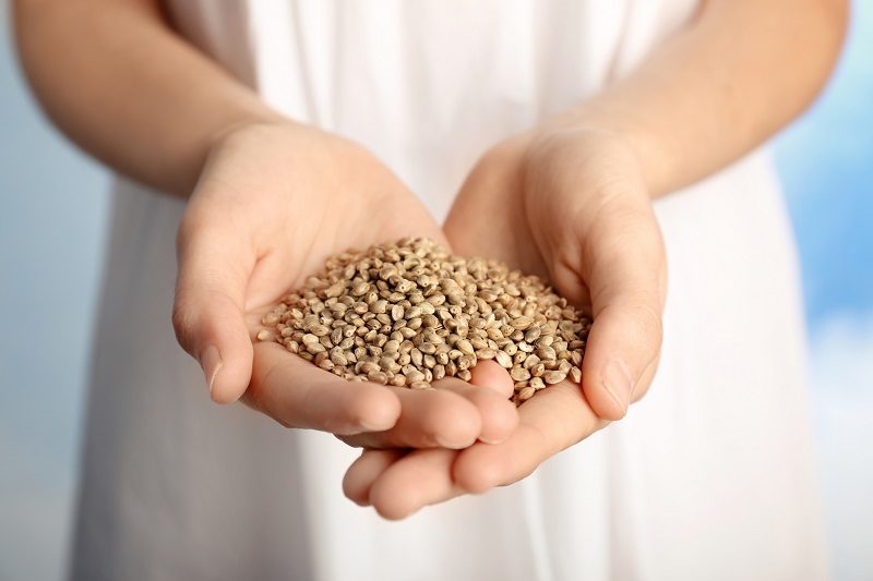 seeds you need to be eating