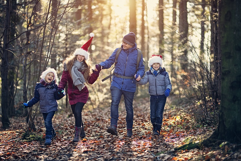 , Happy Holiday Season Preparation | The Leaf Nutrisystem Blog