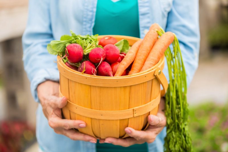 Spring produce carrots and radishes in a basket
