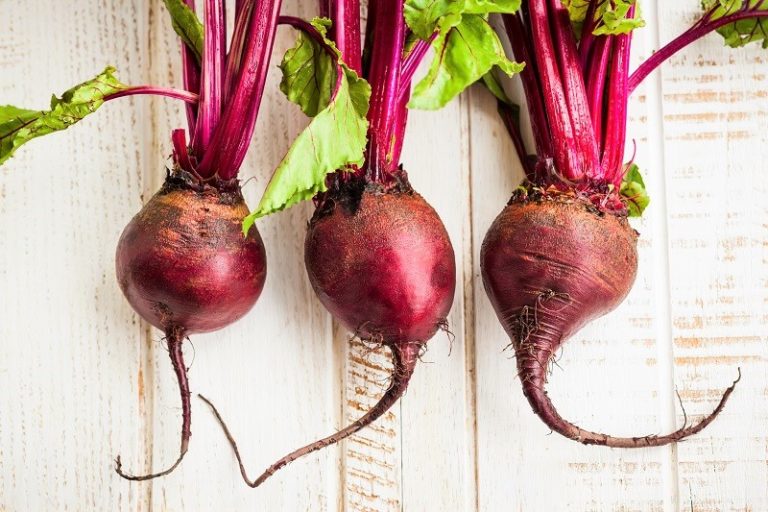 Stressed Out? 9 Foods That Make You Happy | The Leaf