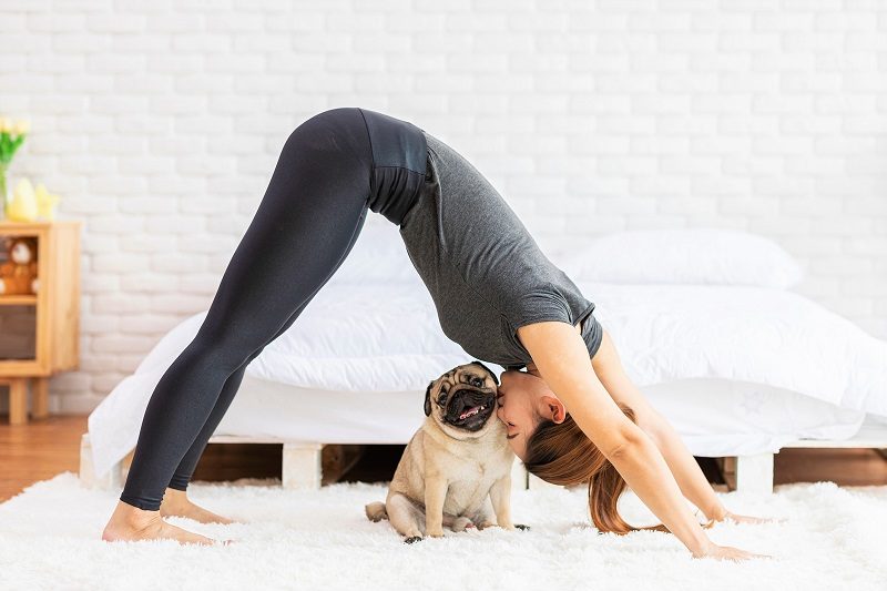 at home workout and exercises with your dog