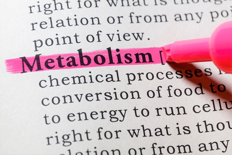 metabolism and weight loss