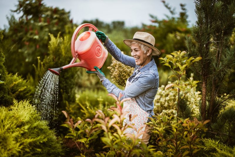 woman watering garden in warm weather