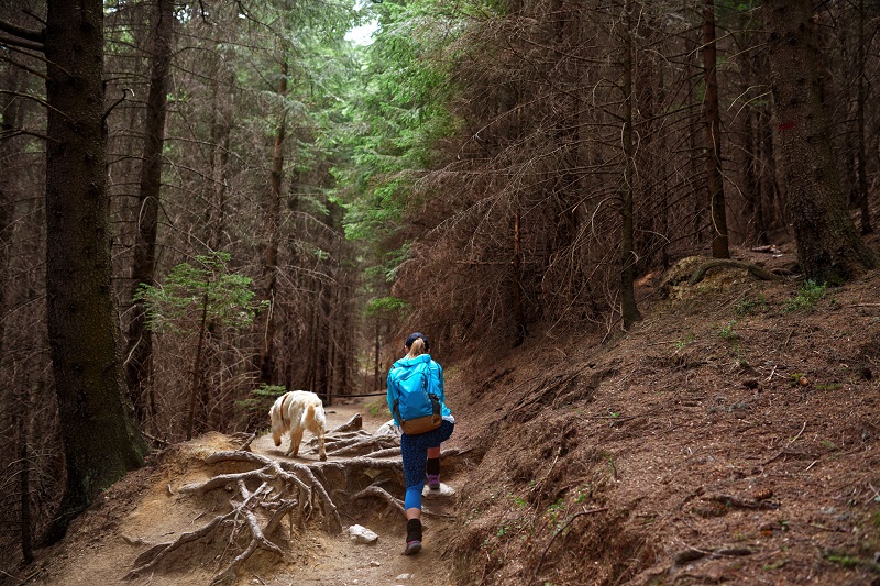 Woman and dog hiking in the woods