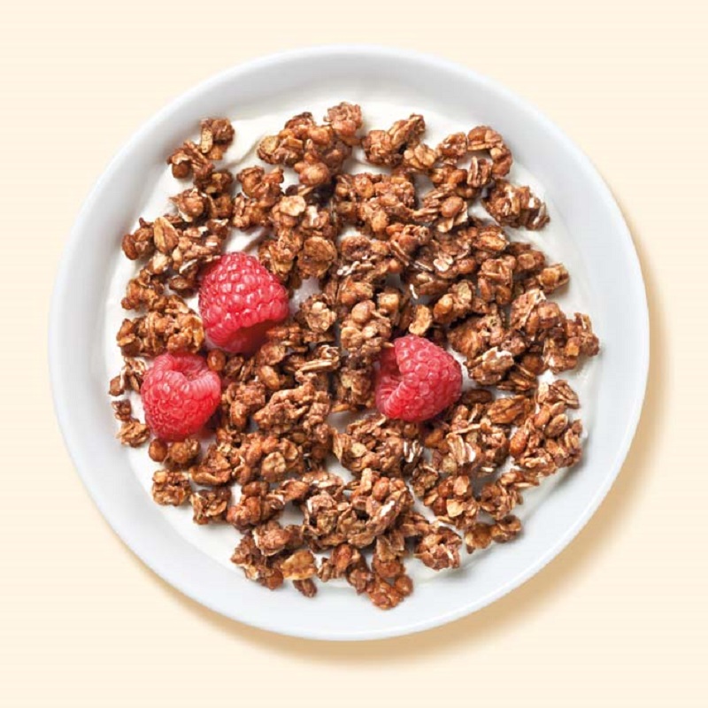 chocolate and hazelnut flavored granola breakfast without eggs