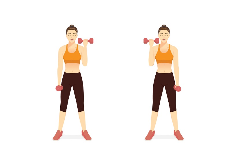 an illustration of a woman doing bicep curls