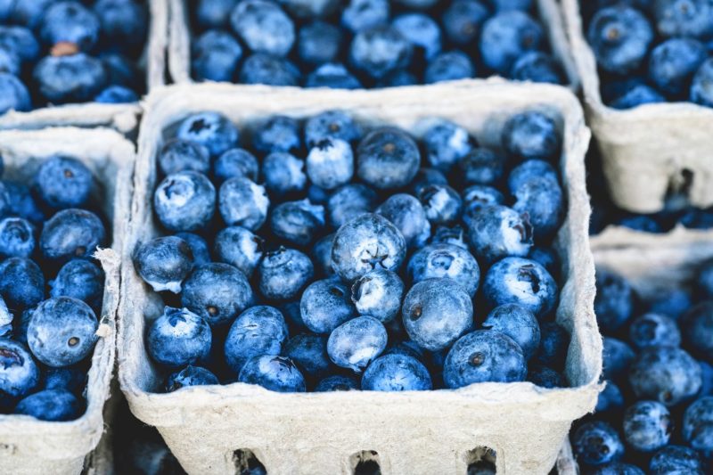 summer Blueberries