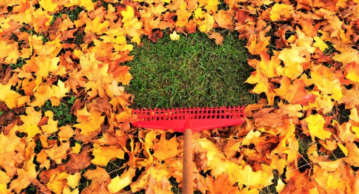 raking leaves for fall gardening