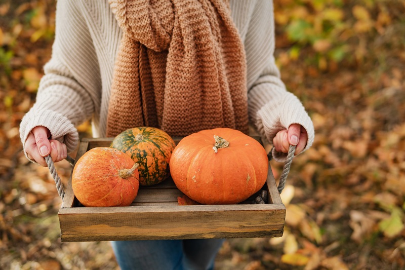A woman in an orange scarf carries a tray of pumpkins through the autumn leaves