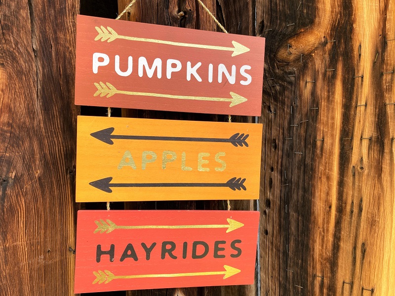 Autumn Sign: PUMPKINS APPLES HAYRIDES