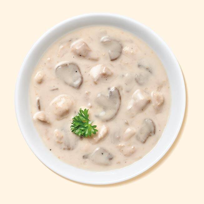 Mushroom parmesan soup with chicken in a bowl