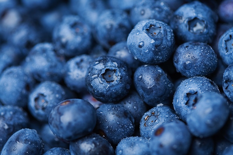 Close up picture of blueberries