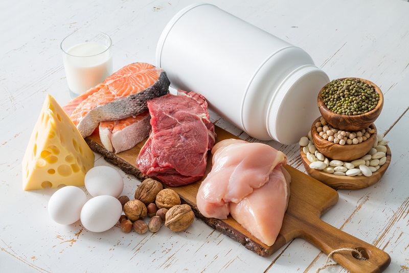 Components of a high protein diet