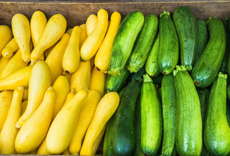 Rows of yellow zucchini and green squash