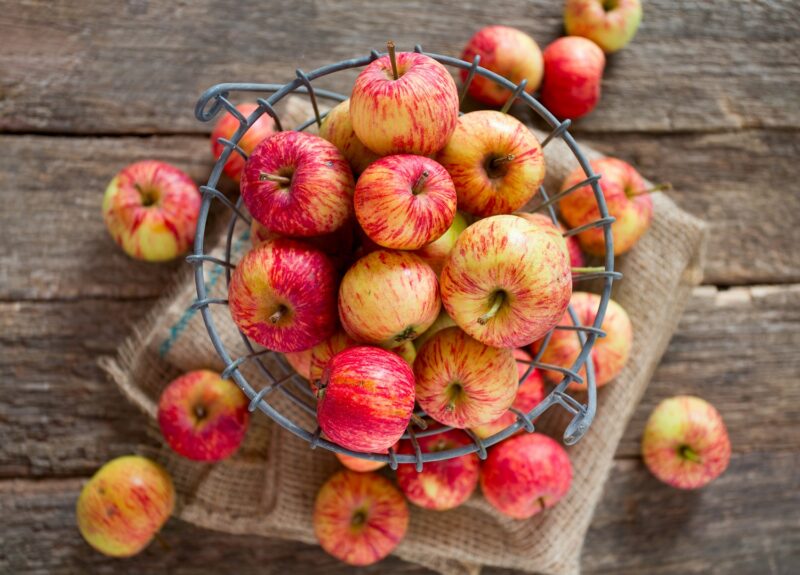 fall apples in a basket