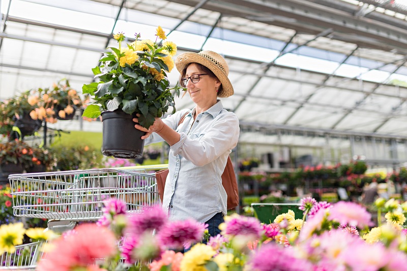 Woman buying flowers at garden center