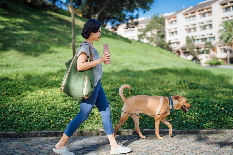 woman walking dog