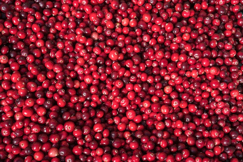 Cranberries: The Tart Superfood for Heart and Immune Health