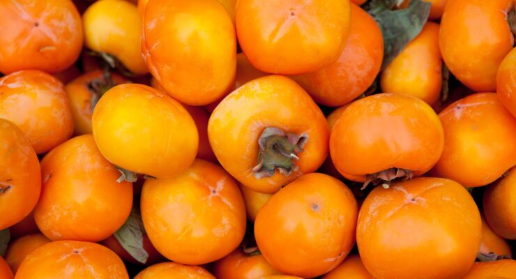 ripe persimmons are a seasonal superfood for fall