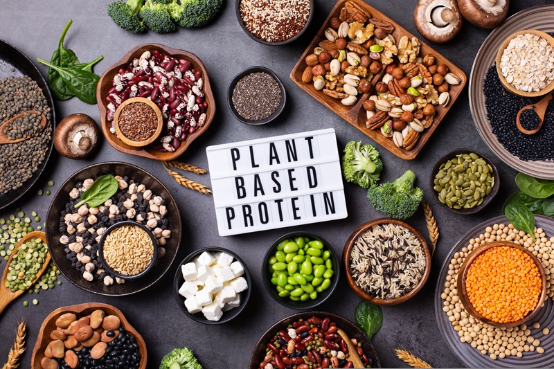 Variety of plant-based proteins